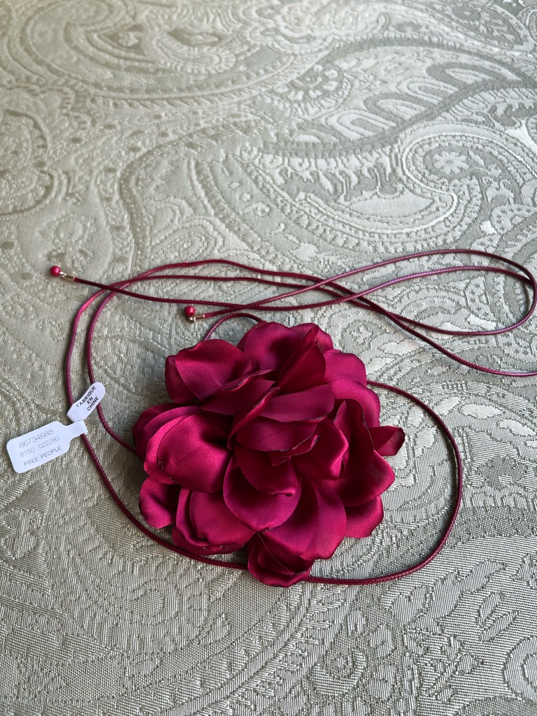 Nwt Free People All Is Well Choker